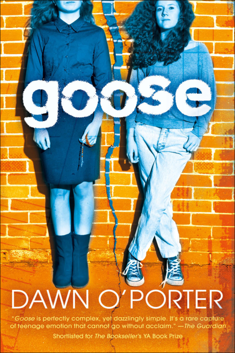 Cover image for book Goose