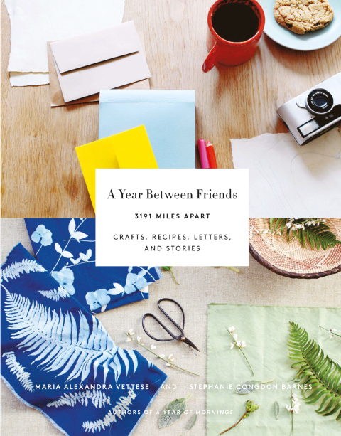 Cover image for book A Year Between Friends: 3191 Miles Apart