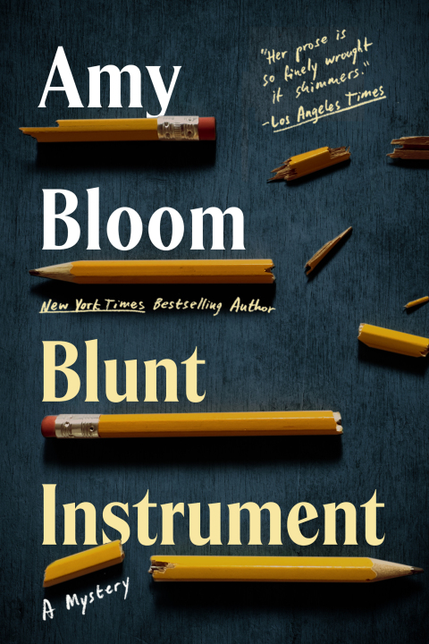 Cover image for book Blunt Instrument