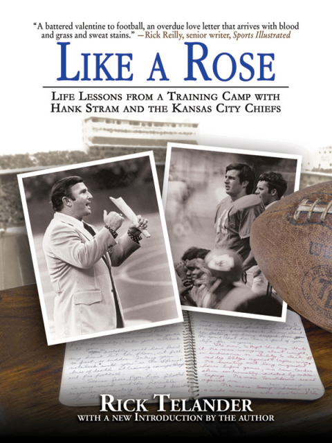 Cover image for book Like a Rose
