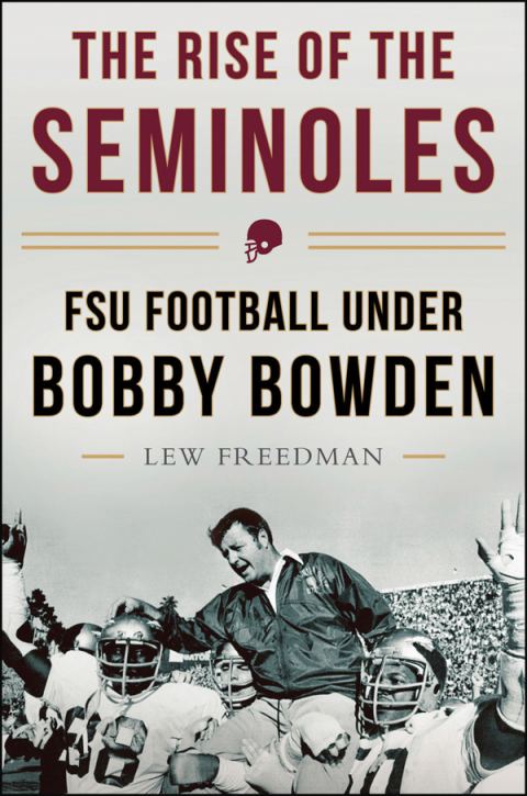 Cover image for book The Rise of the Seminoles