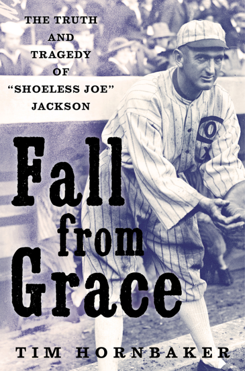 Cover image for book Fall from Grace