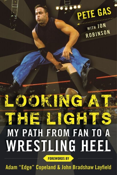 Cover image for book Looking at the Lights