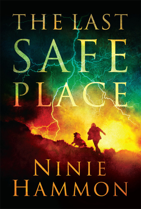 Cover image for book The Last Safe Place