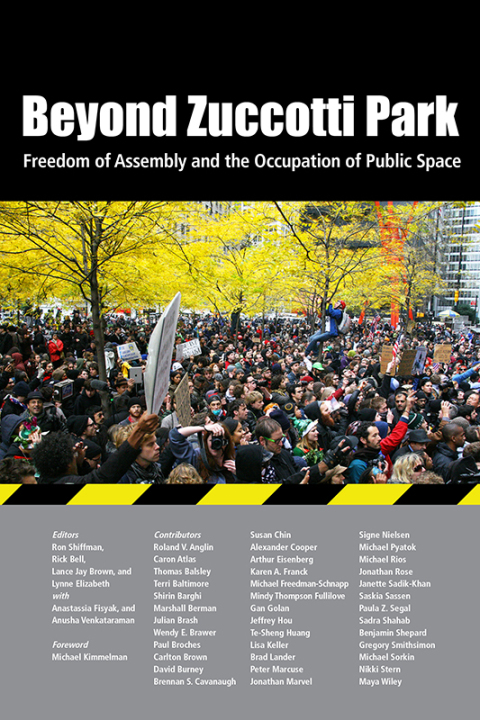 Cover image for book Beyond Zuccotti Park