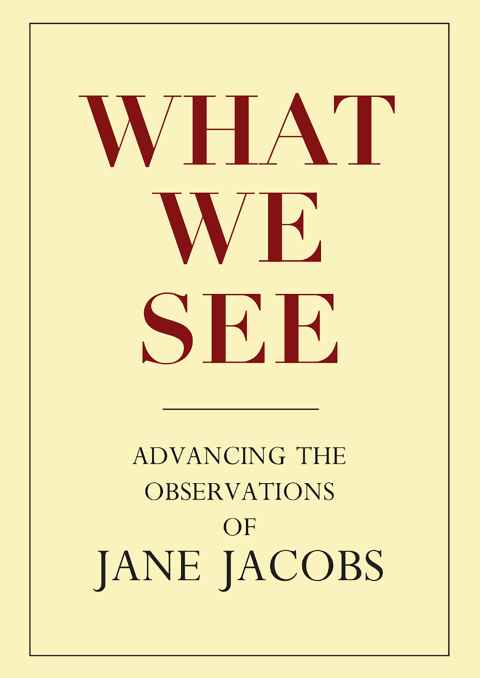 Cover image for book What We See