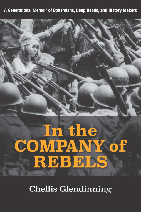 Cover image for book In the Company of Rebels