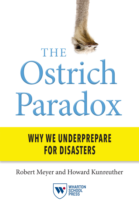 Cover image for book The Ostrich Paradox