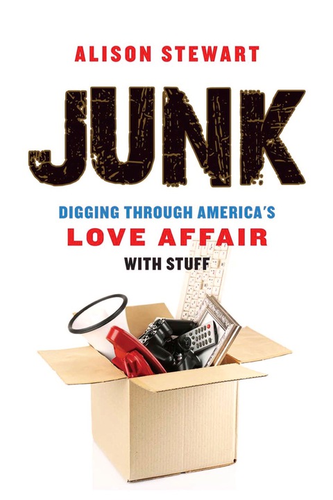 Cover image for book Junk