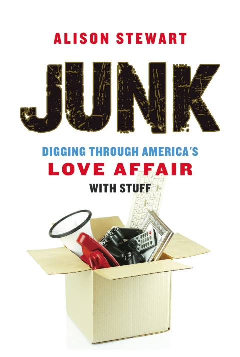 Cover image for book Junk