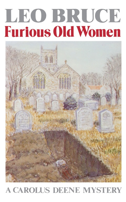 Cover image for book Furious Old Women