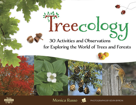 Cover image for book Treecology
