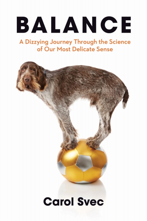 Cover image for book Balance