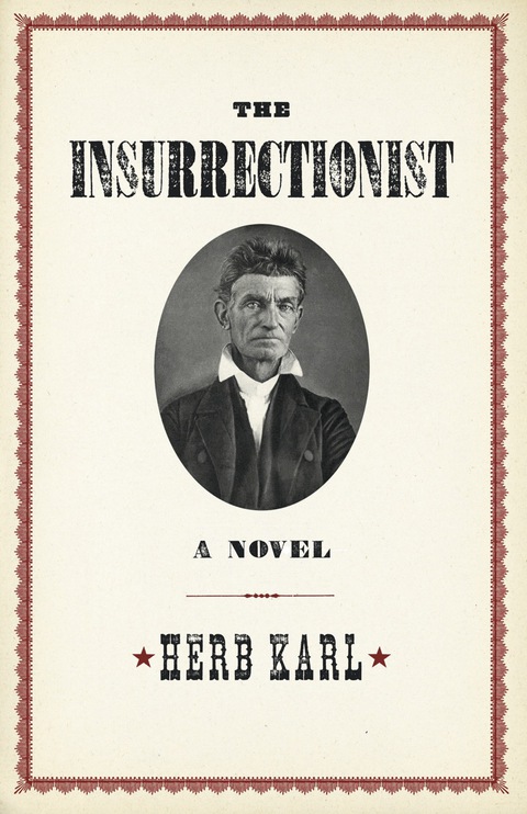 Cover image for book The Insurrectionist: A Novel