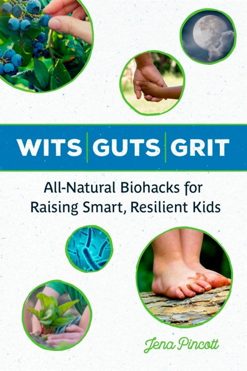 Cover image for book Wits Guts Grit