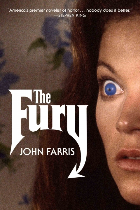 Cover image for book The Fury