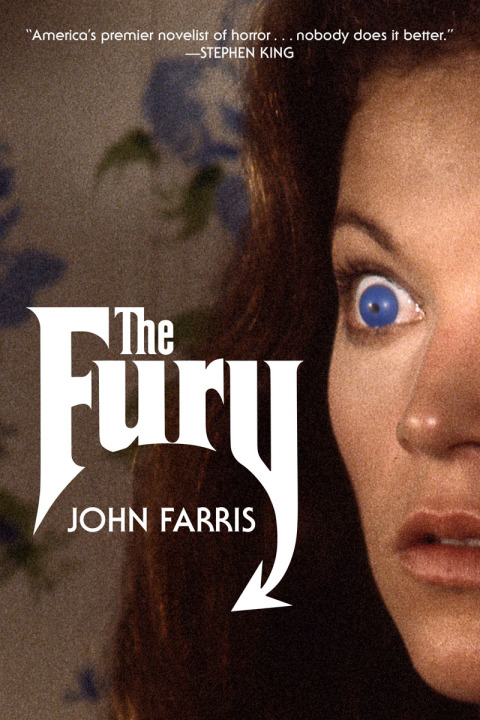 Cover image for book The Fury