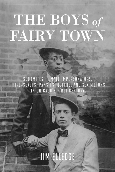 Cover image for book The Boys of Fairy Town