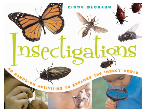Cover image for book Insectigations