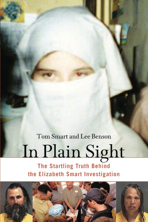 Cover image for book In Plain Sight