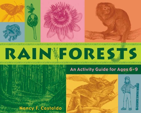 Cover image for book Rainforests