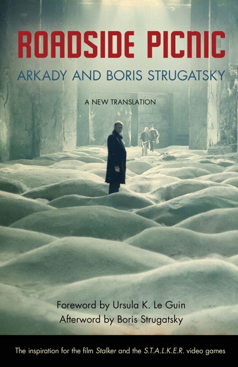 Cover image for book Roadside Picnic