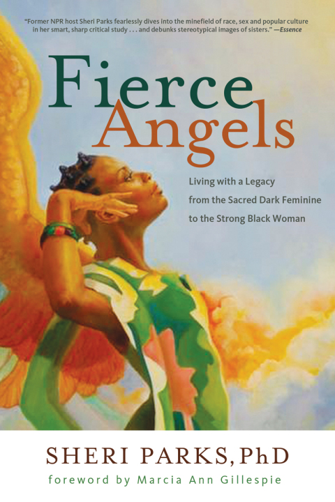 Cover image for book Fierce Angels