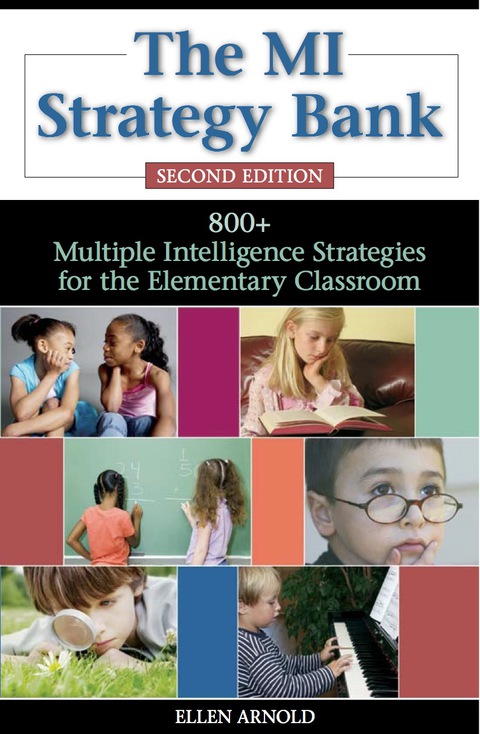 Cover image for book The MI Strategy Bank
