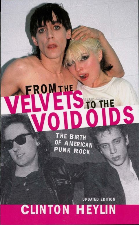 Cover image for book From the Velvets to the Voidoids