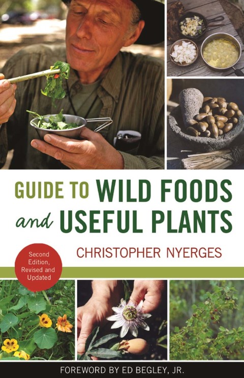 Cover image for book Guide to Wild Foods and Useful Plants