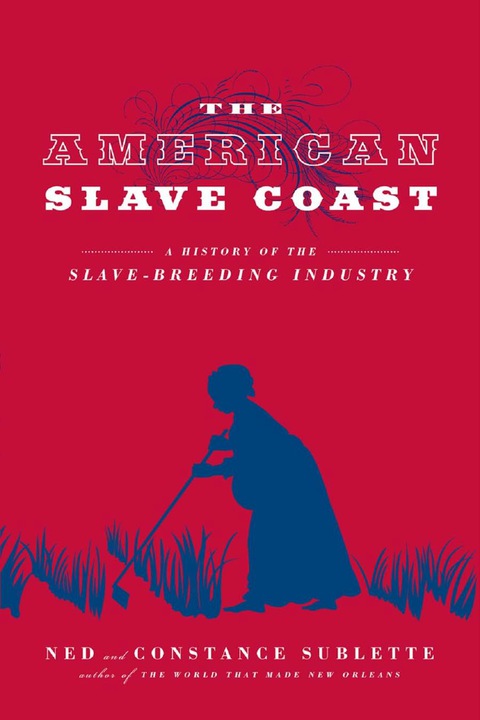 Cover image for book The American Slave Coast