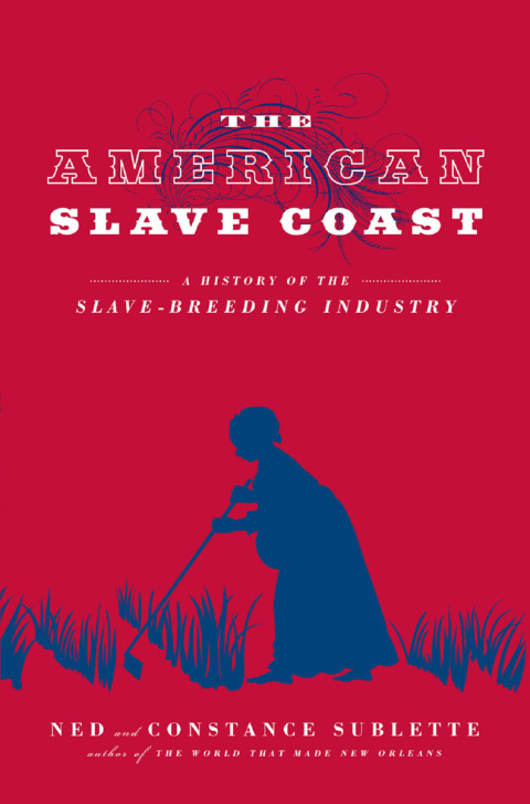 Cover image for book The American Slave Coast