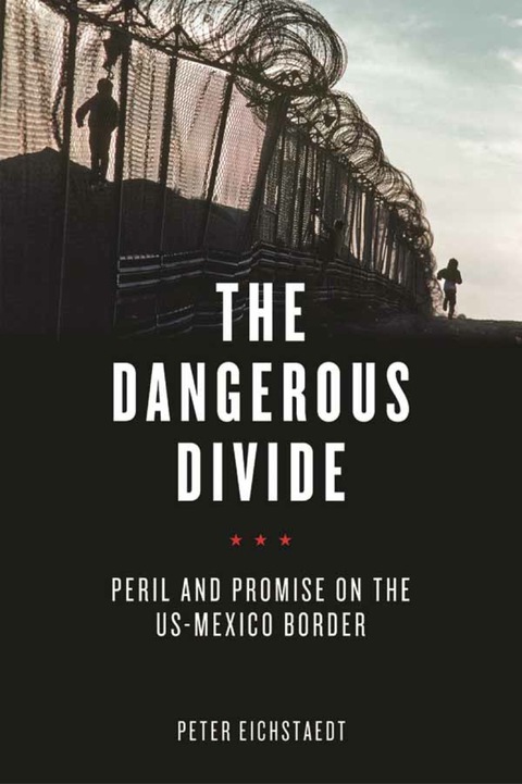 Cover image for book The Dangerous Divide