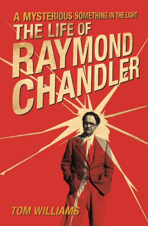 Cover image for book A Mysterious Something in the Light