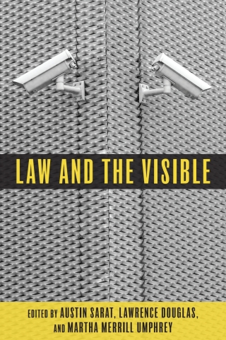 Law and the Visible