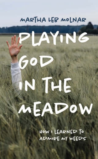 Playing God in the Meadow