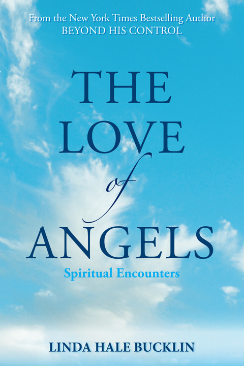 Cover image for book The Love of Angels (Spiritual Encounters)