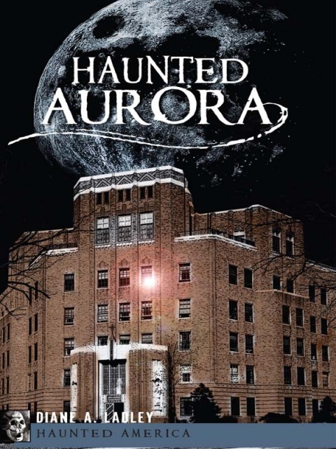 Cover image for book Haunted Aurora
