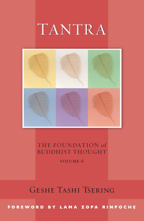 Cover image for book Tantra