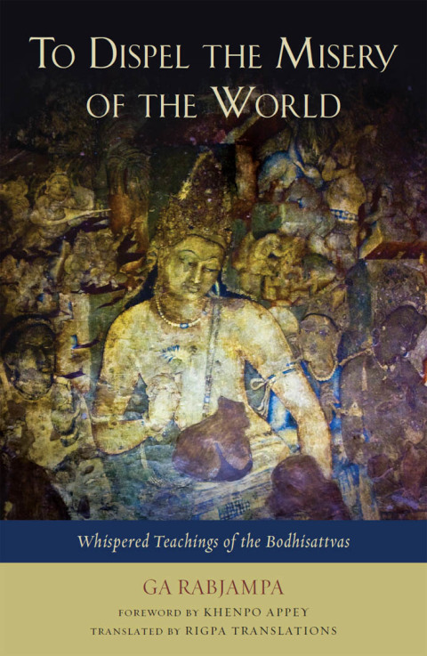 Cover image for book To Dispel the Misery of the World
