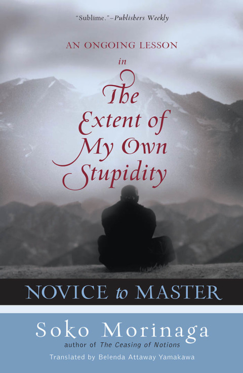 Cover image for book Novice to Master