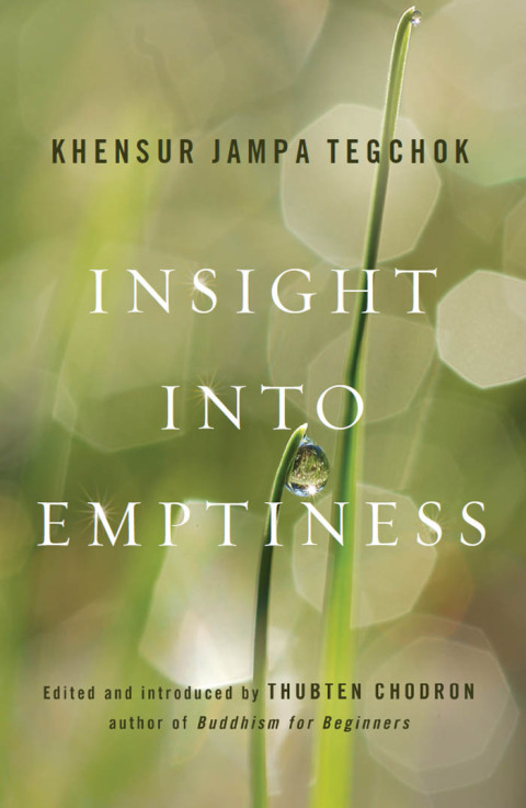 Cover image for book Insight into Emptiness