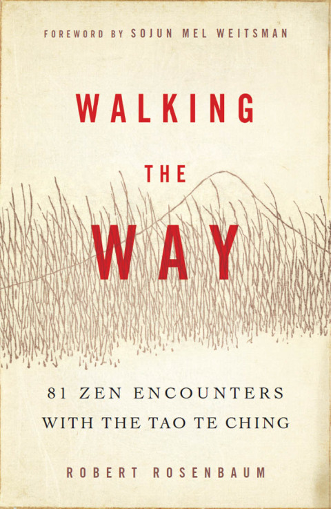 Cover image for book Walking the Way
