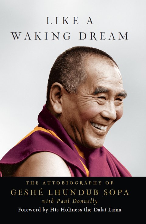 Cover image for book Like a Waking Dream