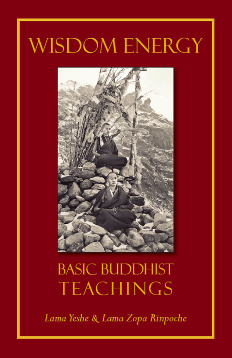 Cover image for book Wisdom Energy