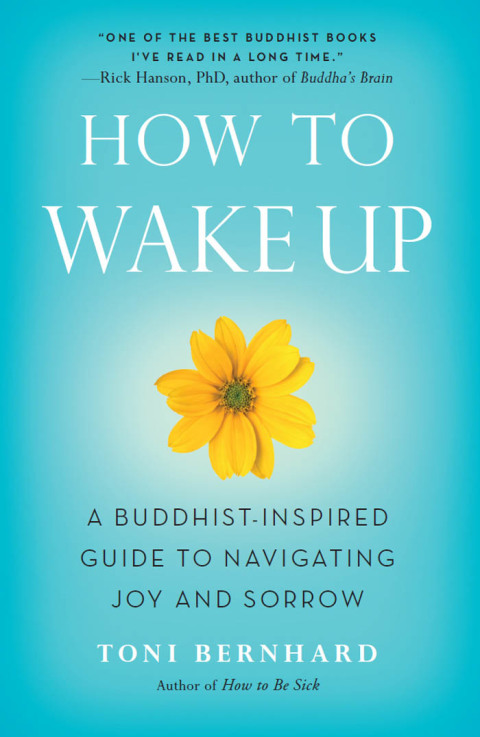 Cover image for book How to Wake Up