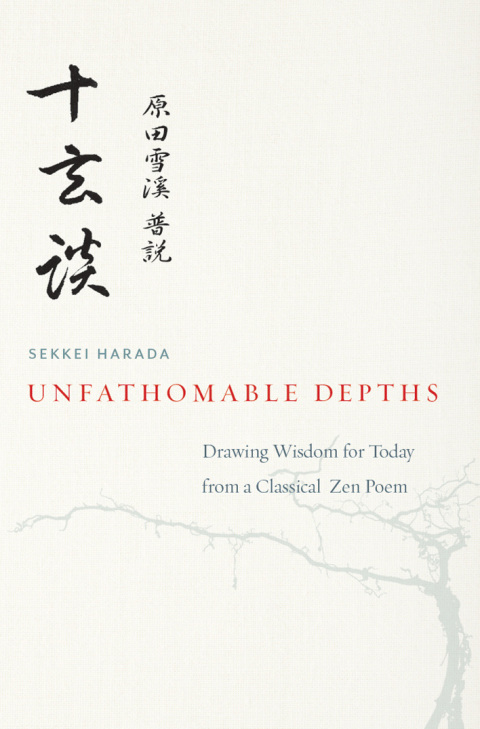 Cover image for book Unfathomable Depths