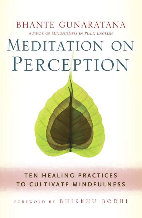 Cover image for book Meditation on Perception