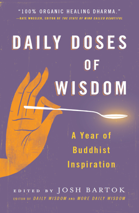 Cover image for book Daily Doses of Wisdom