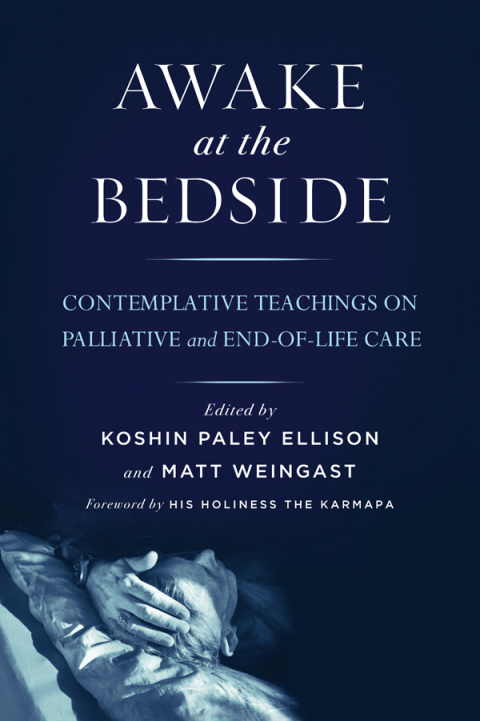 Cover image for book Awake at the Bedside